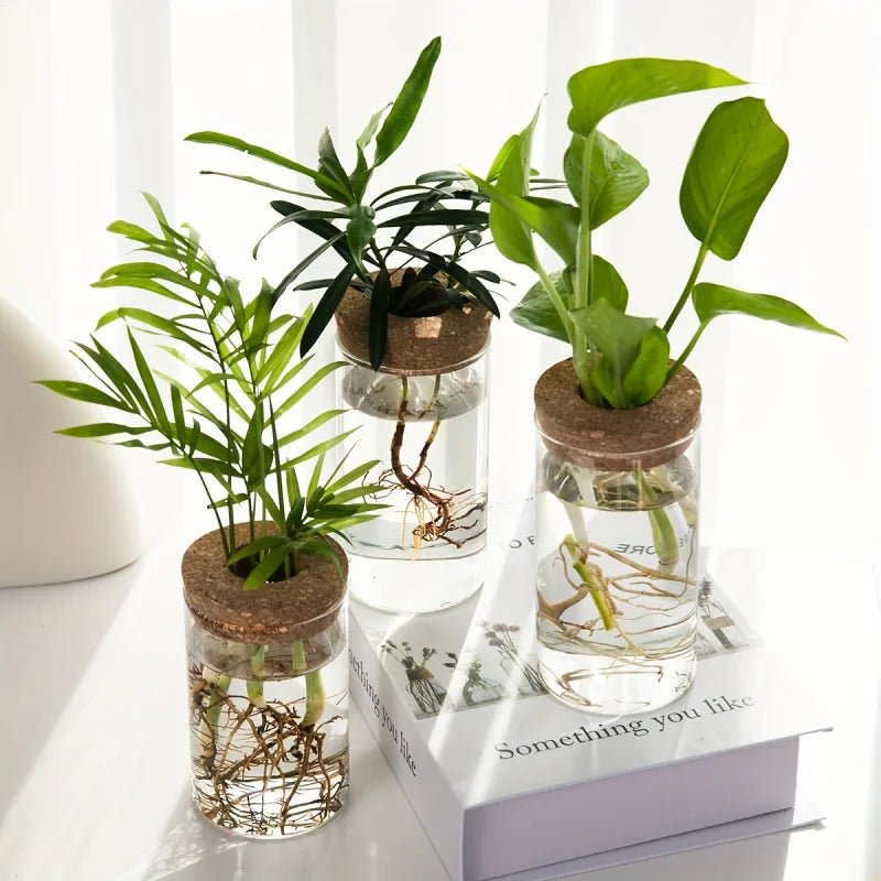 Vaso Hidropônico de Vidro – Elegância Minimalista para Suas Plantas