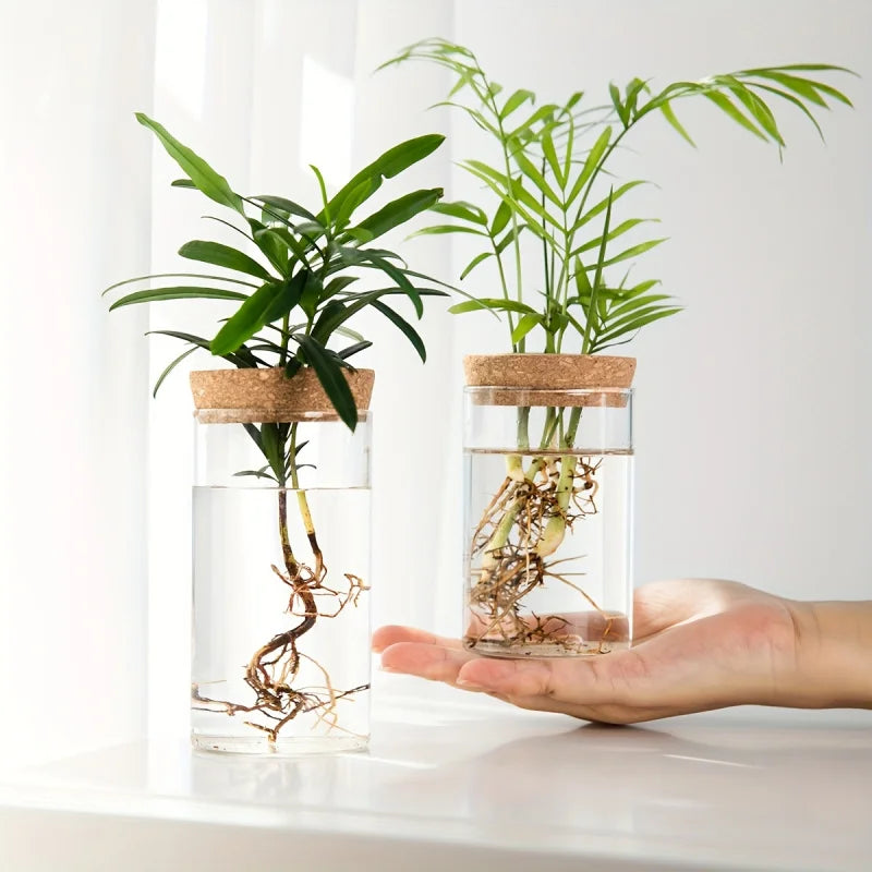Vaso Hidropônico de Vidro – Elegância Minimalista para Suas Plantas